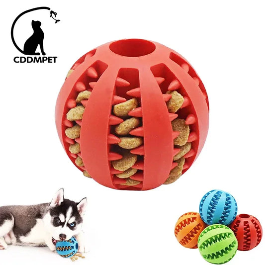 Interactive Elastic Dog Ball Toys for Small Dogs - Puppy Chew Toy