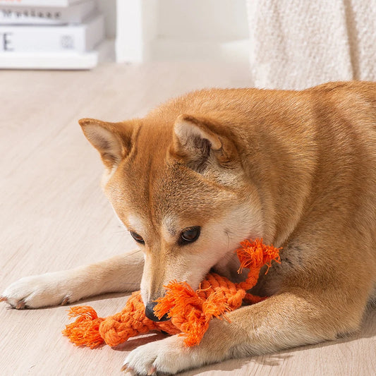 Handmade Cotton Rope Carrot Toy for Dogs and Puppies