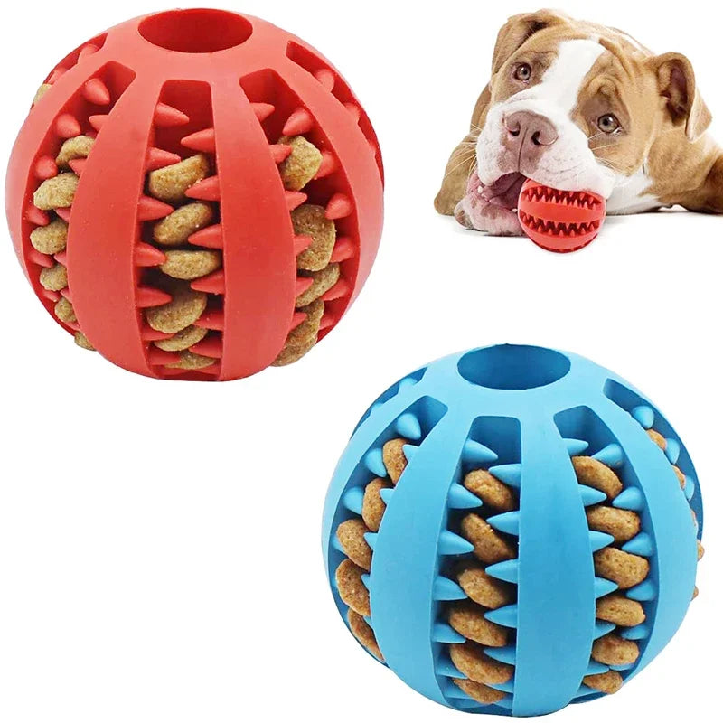 Interactive Elastic Dog Ball Toys for Small Dogs - Puppy Chew Toy